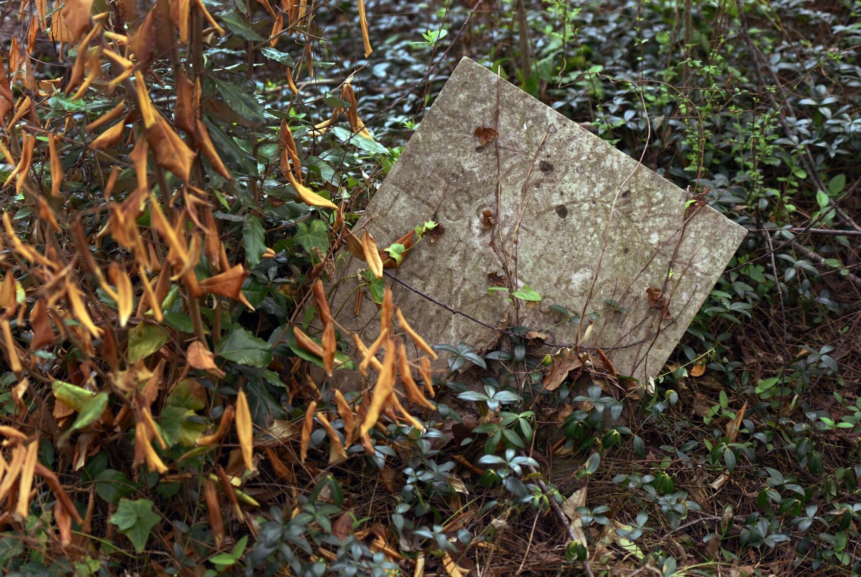 Happy Hill cemetery